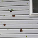 Independent Claims Adjuster Can Help with Hail Damage Situations
