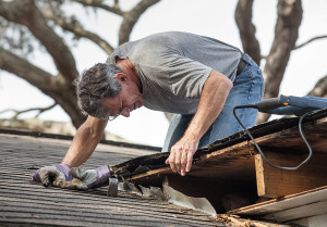 Man Repairing Rotten Leaking Roof