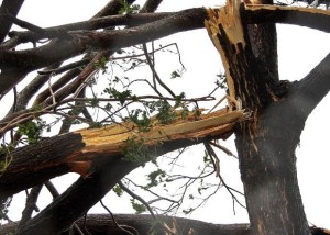 Hurricane Damage Insurance Claims Adjuster Boynton Beach