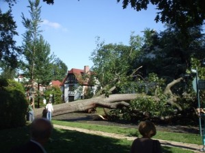 Wind Damage Insurance Claims Adjuster Boynton Beach 